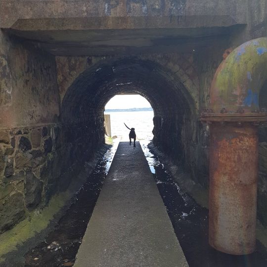 Andrew Jackson Cottage & US Rangers Museum