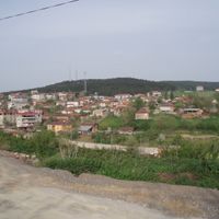 Ferizli
