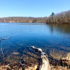 Spring Pond