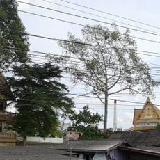 Wat Bang Luang