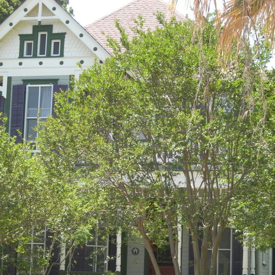 Oliphant-Walker House