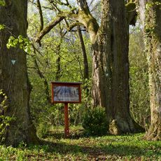 4 Linden beim Abendmahl