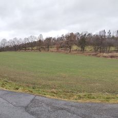 Alej svobody u Nechalova