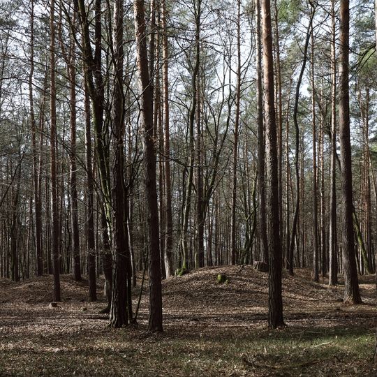 Barrow cemetery Groß Hard