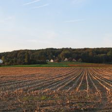 Mont de l'Enclus