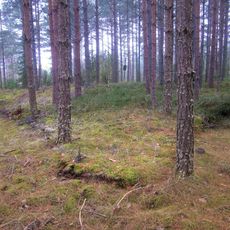 Västerfärnebo 17:1