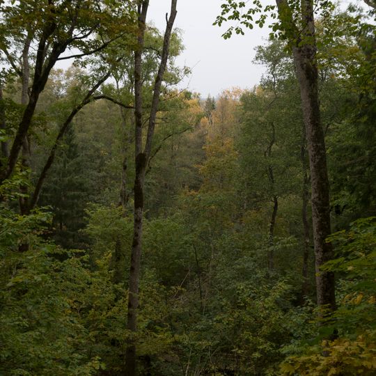 Zilo kalnu Šlīteres krauja