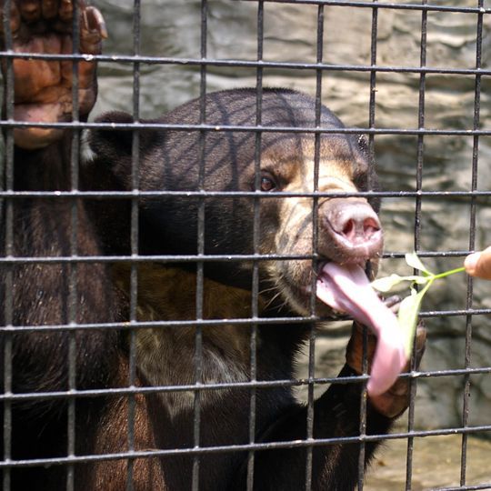 Zoológico de Avilon