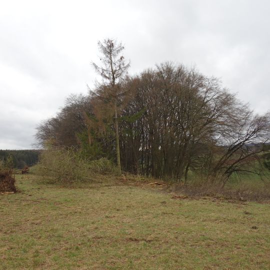 Naturdenkmal Schwalgloch Bohlen Kämpchen