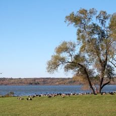 Lake Wingra