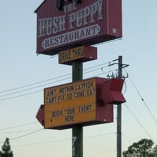 The Hush Puppy LV