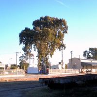 Rosario Vera Peñaloza