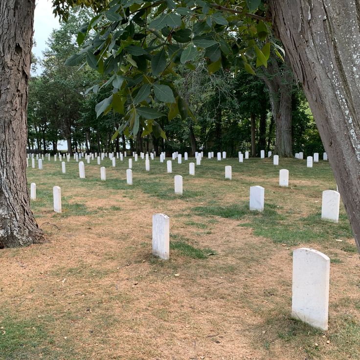 Cemitério Confederado da Ilha Johnson