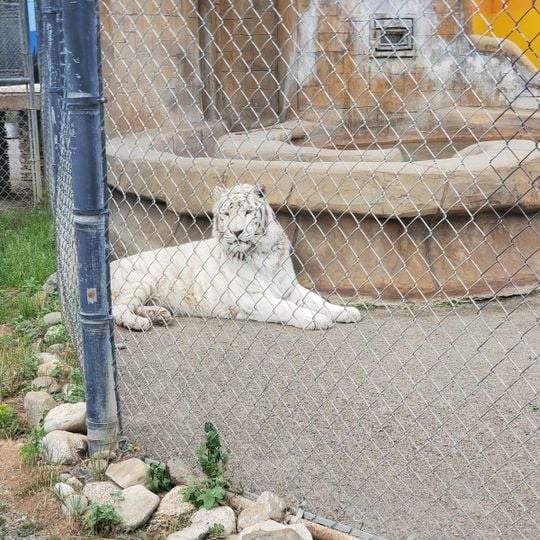 Cat Tales Wildlife Center