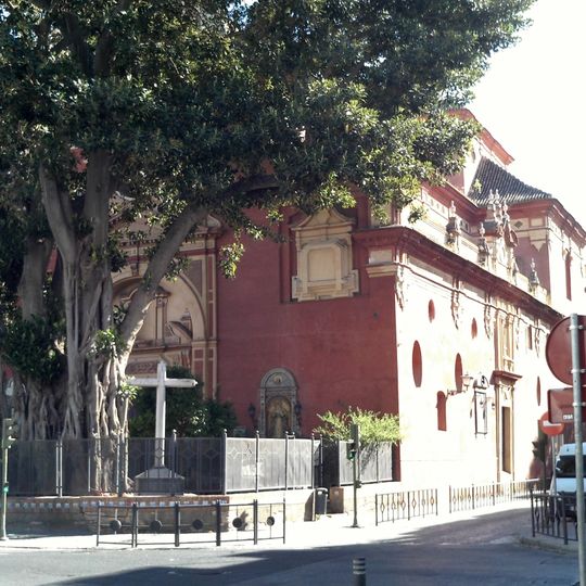 Ficus de San Jacinto