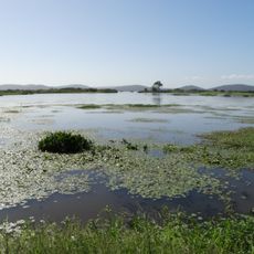 Lami José Lutzenberger Biological Reserve