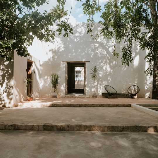 Cedros