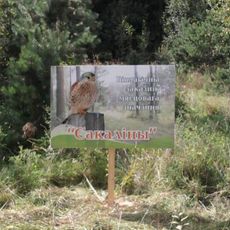 Сакаліны, заказнік