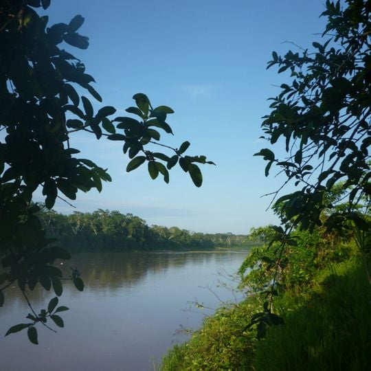 Purus River