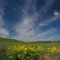Tyligul Estuary Landscape Park, Odesa Oblast