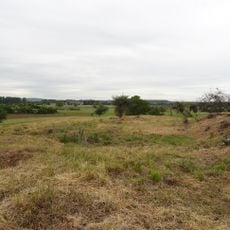 Naturschutzgebiet Im Tiefen Ried bei Steinheim