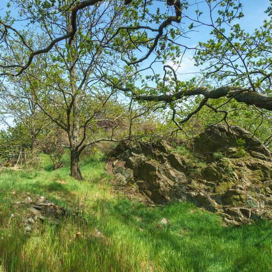 Rock cliffs on Großer Steinberg, Clanzschwitz