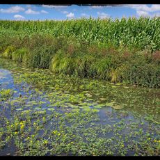 Le Labyrinthe des Barthes