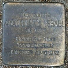 Stolperstein für Aron Hertz Israel