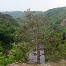 Střední Pojihlaví