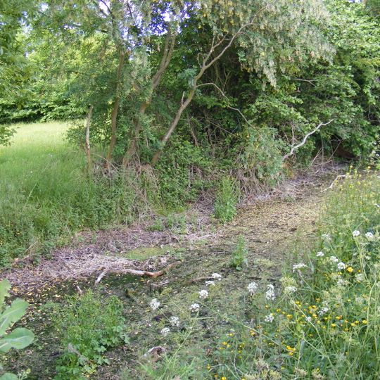 Moat Farm moated site, 650m west of Goodwyns Farm