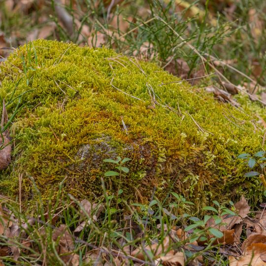 Grenzstein Untere Gemeinde, Hundertmorgen in Seukendorf
