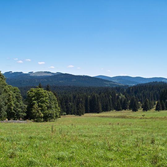 Želnavská hornatina