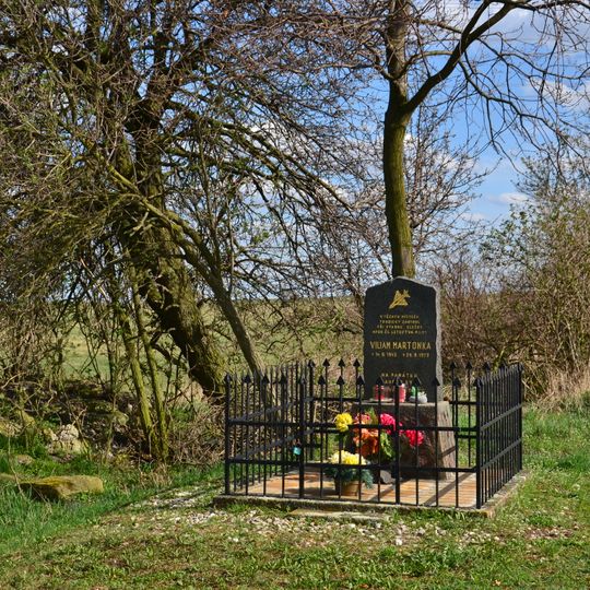 Pomník pilota u Nové Vísky