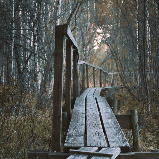 Lindängets naturreservat