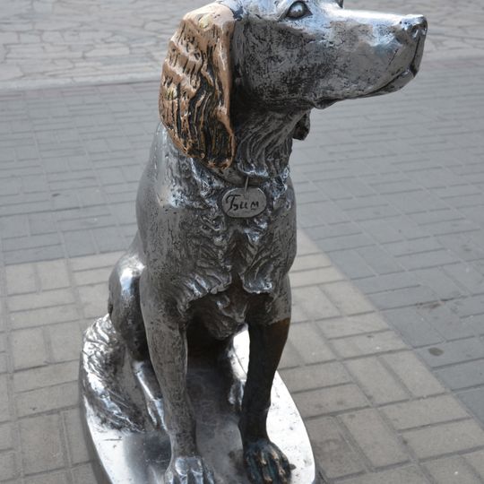 Monuments to Bim in Voronezh