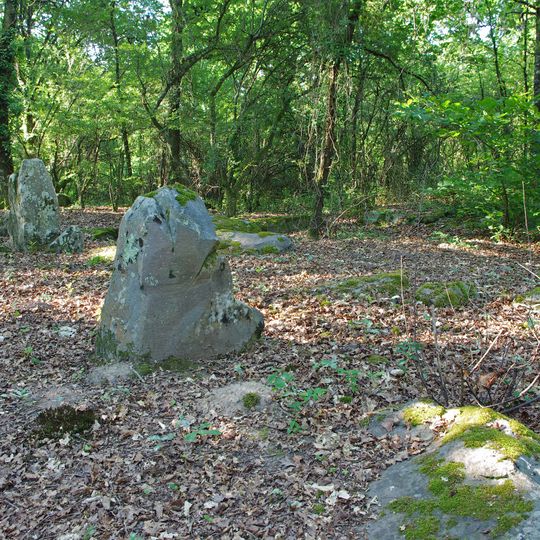 Menhirs of Tréfoux