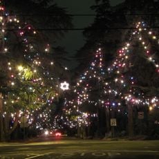 Christmas Tree Lane