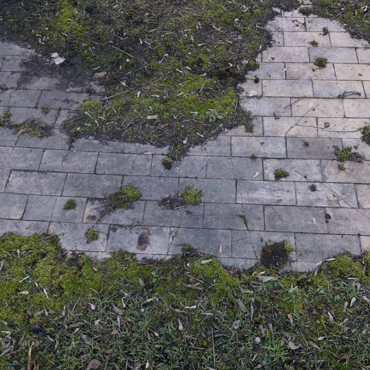 Synagoga w Pruszkowie