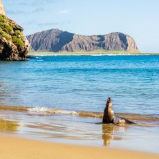 ガラパゴス諸島