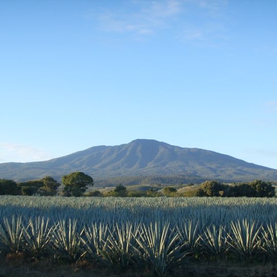 Tequila Volcano