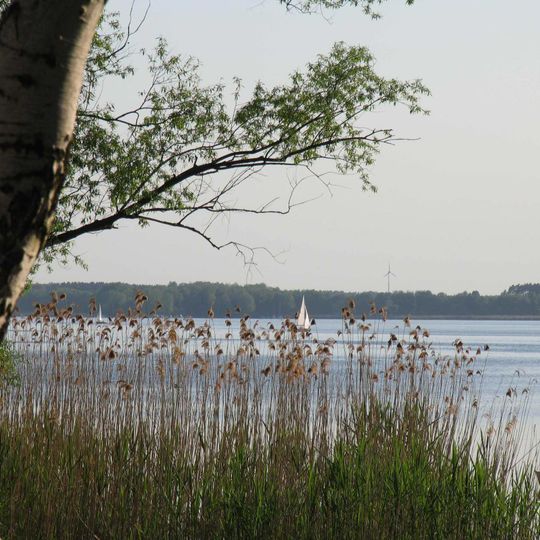 Schwielochsee