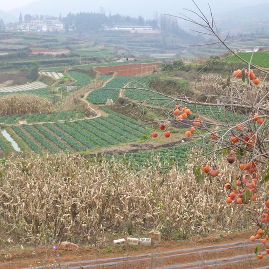 Hexi Town, Tonghai County