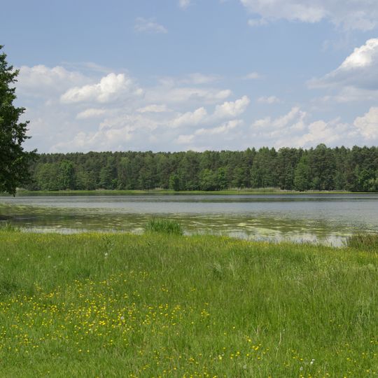Markwald bei Baiersdorf