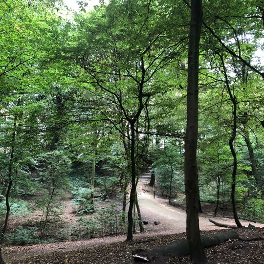 Sentier des Adonides - Adonissenpad