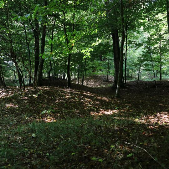 Barrow cemetery Gametzholz