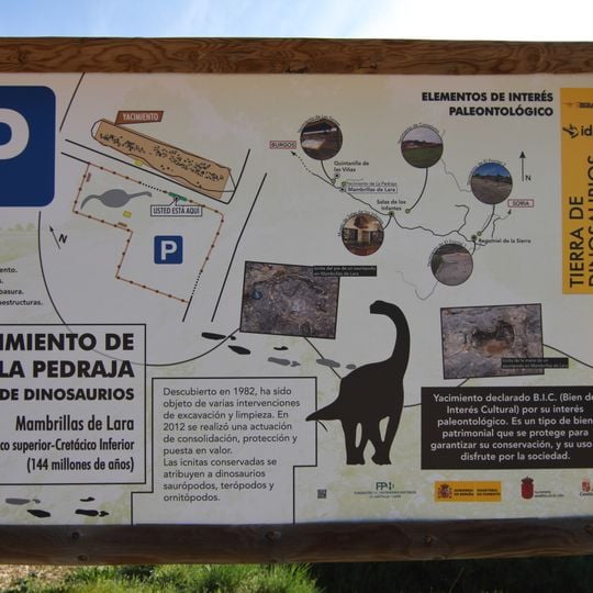 Yacimientos de icnitas de Burgos y Soria