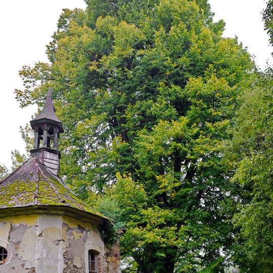 Lípa ve Výškovicích