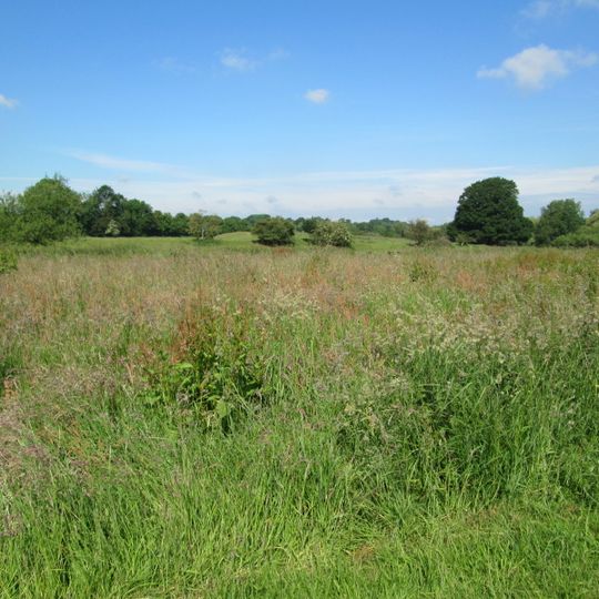 Stone Meadows