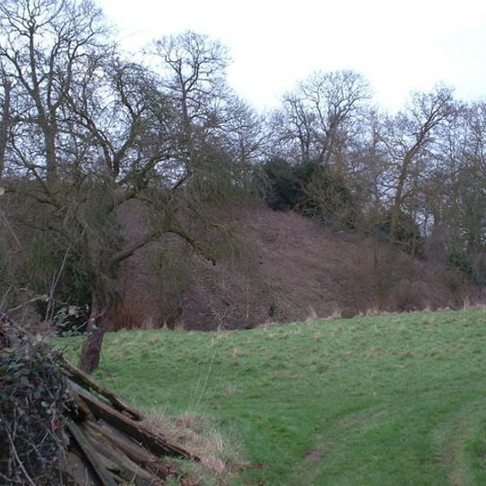 Buckenham Castle