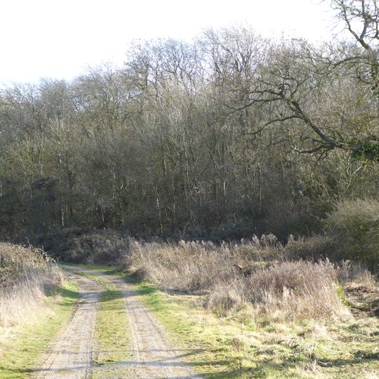 Geddington Chase SSSI